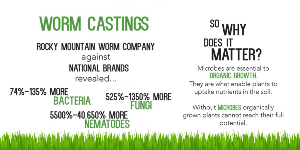 download worm castings how to use download worm castings how to use